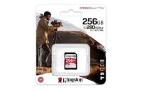 Memorijska kartica KINGSTON MC Canvas React Plus SDR/256GB, SDXC 256GB, Class 10, UHS-II, U3, V60
