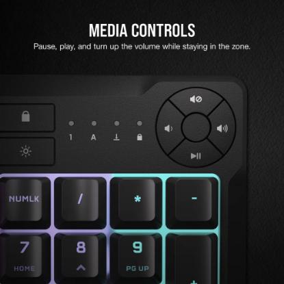 Tipkovnica CORSAIR K55 Core RGB, US Layout, USB, črna