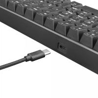 Tipkovnica WHITE SHARK GK-2022 Shinobi, LED, Plavi switch, mehanička, črna, USB