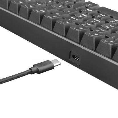 Tipkovnica WHITE SHARK GK-2022 Shinobi, LED, Plavi switch, mehanička, črna, USB