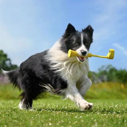 Dodatak za sportske kamere INSTA360 Fetch Stick za GO 3