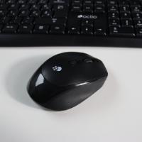Miška OCTIO M302W, optički, bežični, 1600dpi, črni