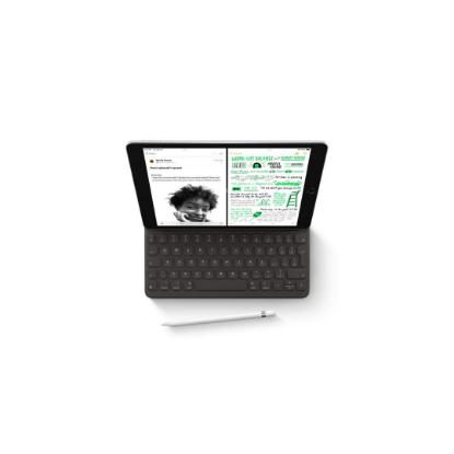 Tablični računalnik APPLE iPad (9th Gen.), 10.2", WiFi, 256GB, MK2P3HC/A, sivi