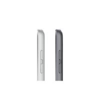 Tablični računalnik APPLE iPad (9th Gen), 10.2", WiFi, 64GB, MK2K3HC/A, sivi