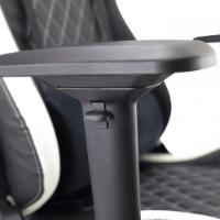 Gaming stol WHITE SHARK Nitro GT, crno-bijela