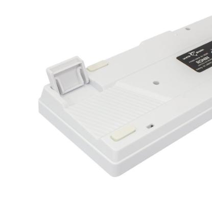 Tipkovnica WHITE SHARK GK-2201 Ronin, RGB, membranska, SLO/HR/US layout, bela, USB