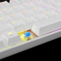 Tipkovnica WHITE SHARK GK-2022 Shinobi, LED, Plavi switch, mehanička, bijela, USB