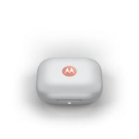 slušalke MOTOROLA Buds, in-ear, brezžične, BT, narančaste