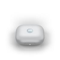 slušalke MOTOROLA Buds, in-ear, brezžične, BT, svetlo modre