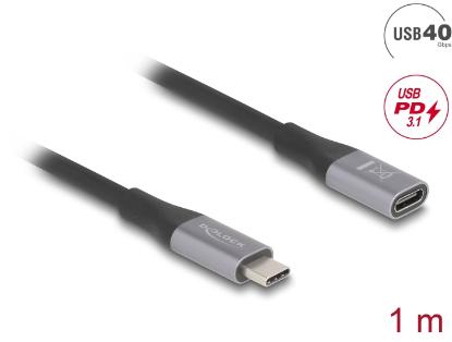 Kabel DELOCK, USB-C 4.0 (M) na USB-C (Ž), 1m, črni