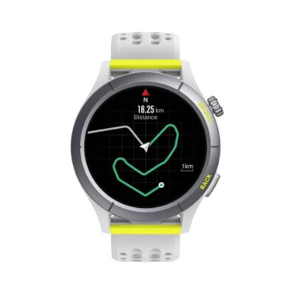 Pametna ura AMAZFIT Cheetah R, Pametna obvestila, sivi