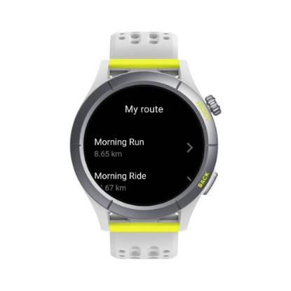 Pametna ura AMAZFIT Cheetah R, Pametna obvestila, sivi
