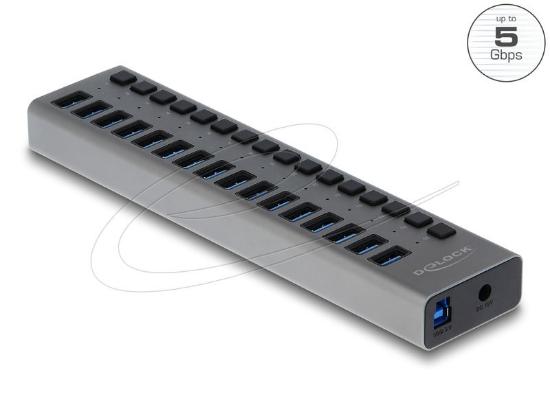 USB HUB DELOCK, 16-portni USB 3.2, s prekidačima, sivi
