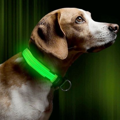 Ogrlica za pse SATZUMA Light Up Dog Collar, zelena, LED svijetleća, 37-46cm