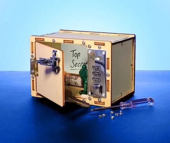 STEM set SATZUMA, složi svoj drveni sef