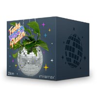 Tegla za cvijeće MIKAMAX Funky Disco Planter