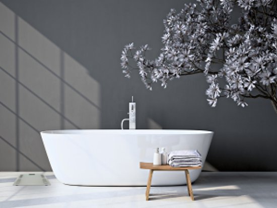 Osebna tehtnica TERRAILLON Body Connect, MyHealth App, Bluetooth, indeks telesne mase, 160 kg