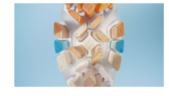 Nadomestne glave zobne ščetke PHILIPS HX9092/10, 2 kosa, bele