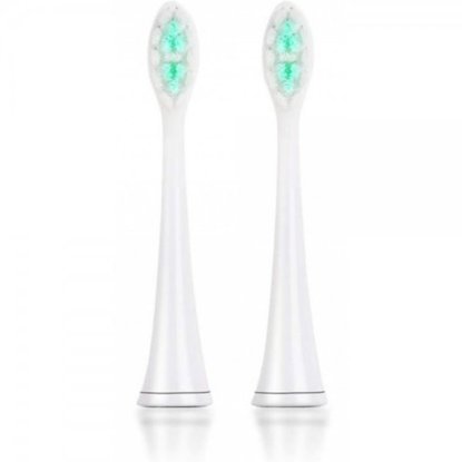 Nadomestne glave zobne ščetke JIMMY T6, 2 kosa