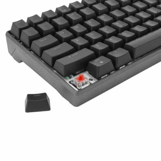 Tipkovnica WHITE SHARK ESL-K2 Katana, RGB, mehanička, US Layout, USB, črna