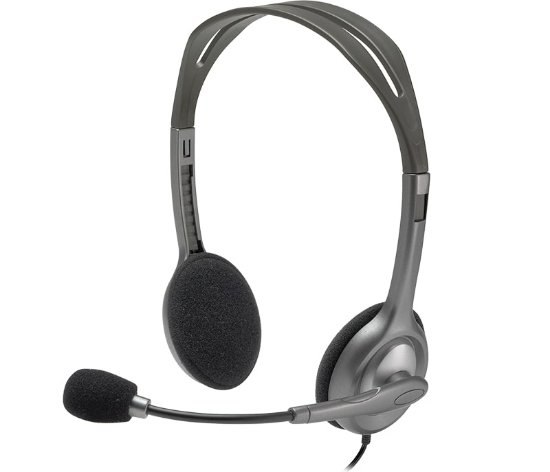 Slušalke LOGITECH Headset H110, srebrne
