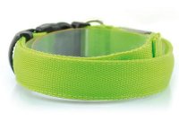 Ovratnica za pse SATZUMA Light Up Dog Collar, zelena, LED svetleča, 37-46cm