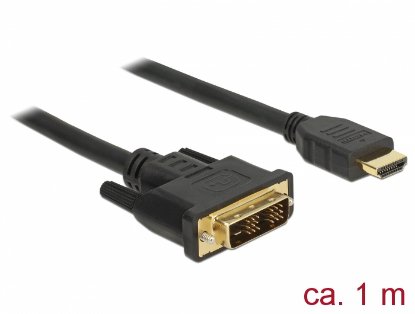 Kabel DELOCK, HDMI (M) na DVI 18+1 (M), dvosmjeran, 1m