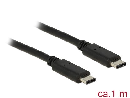 Kabel DELOCK, USB-C 2.0 (M) na USB-C (M), 1m, črni