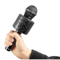 Mikrofon SATZUMA Karaoke Mic, črn