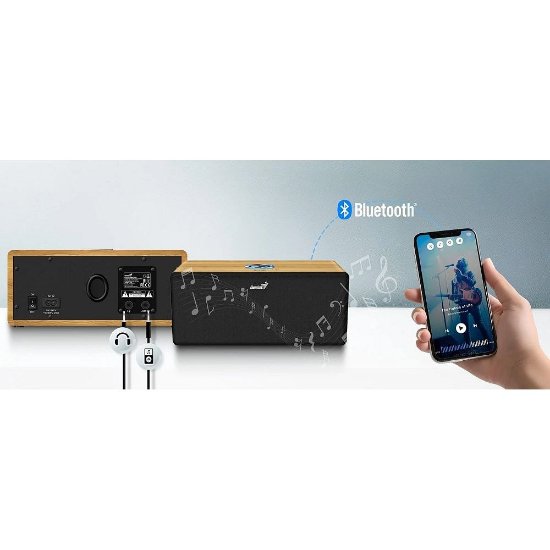Zvočnik GENIUS SP-HF505BT, 20W, Bluetooth, lesen, temno rjav