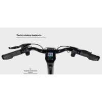 Električni skiro MS ENERGY Flare, autonomija do 60km, hitrost 25km/h, kolesa 10", črni