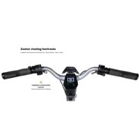 Električni skiro MS ENERGY Flare X, autonomija do 70km, hitrost 25km/h, kolesa 10", sivi