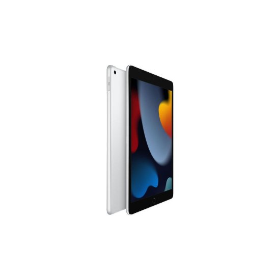 Tablični računalnik APPLE iPad (9th Gen), 10.2", WiFi, 64GB, MK2L3HC/A, sivi