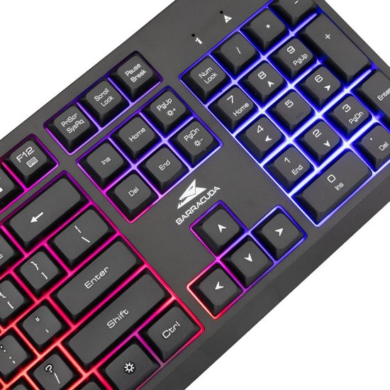 Tipkovnica BARACUDA BGK-02114 Starfish, US layout, crna