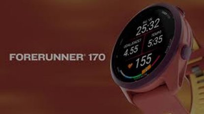 Pametni sat GARMIN Forerunner 170 Music, GPS, WiFi, rozi