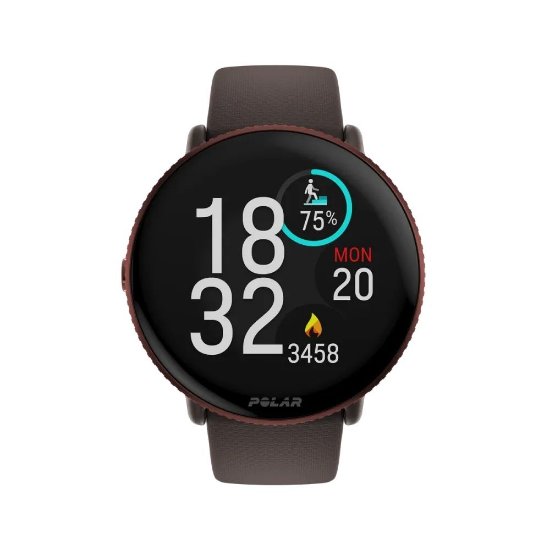 Pametni sat POLAR Ignite 3, smeđi
