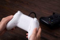 Gamepad 8BITDO Ultimate, Gaming, USB, žičani, bijeli