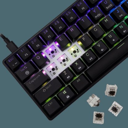 Tipkovnica WHITE SHARK GK-004132 Shinobi-2, RGB, mehanička, smeđi switch, HR, crna